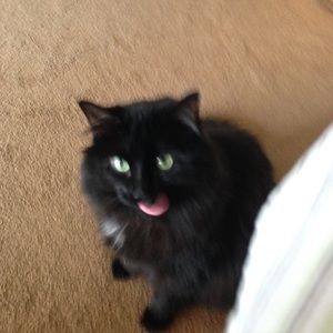 Meet your Posher, Debbie